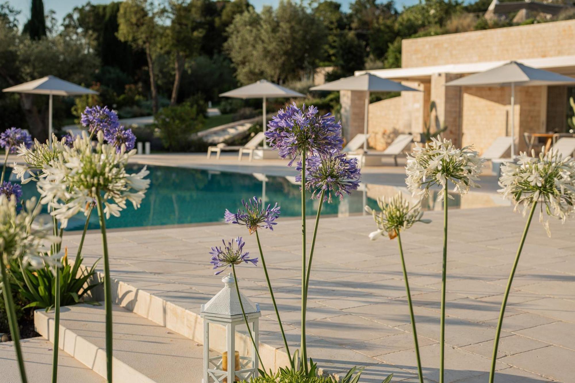 Essenza Relais Contemporaneo Bed and Breakfast Cisternino Exteriör bild